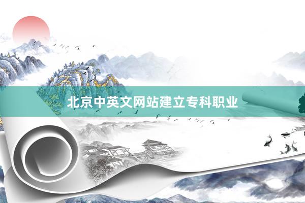 北京中英文网站建立专科职业