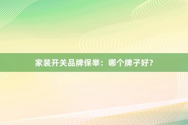 家装开关品牌保举：哪个牌子好？