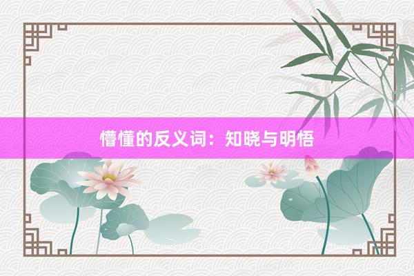 懵懂的反义词：知晓与明悟